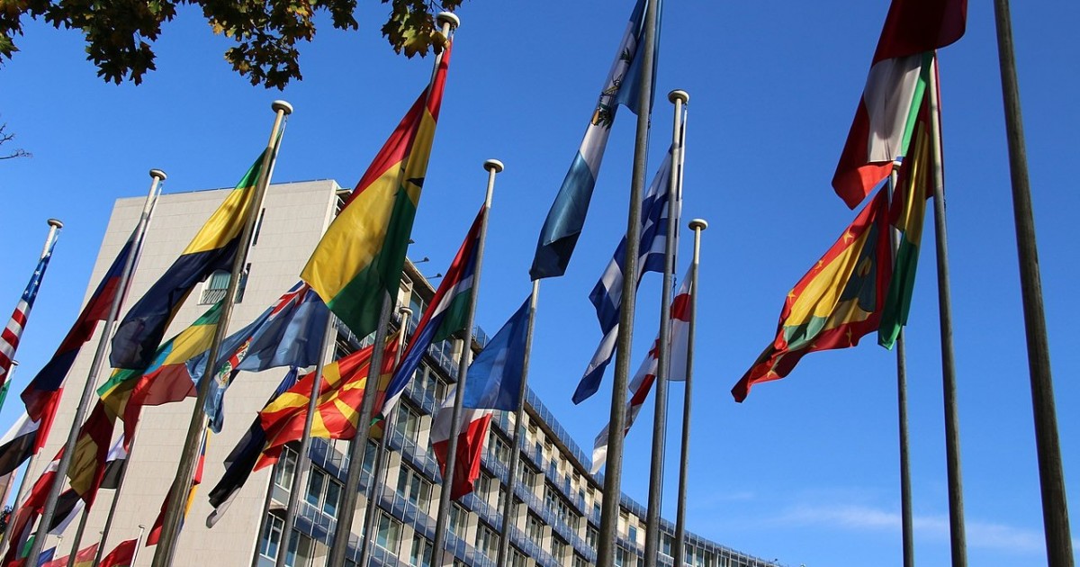 L UNESCO EN BREF visual data 6